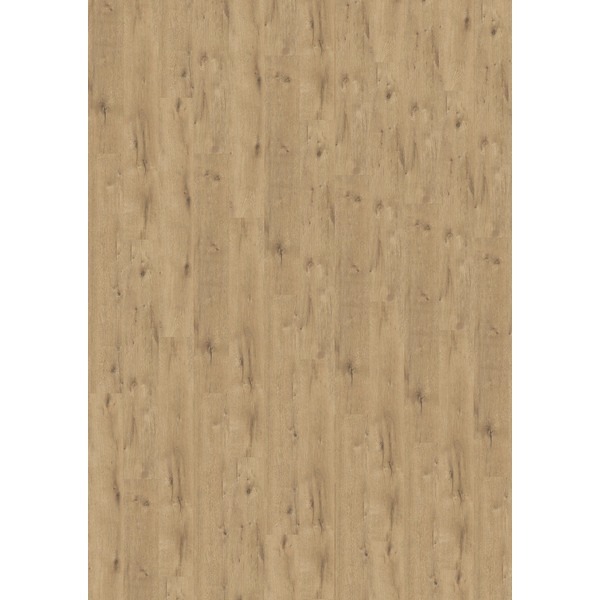 Liberty rigid, Rock 40, Augustine