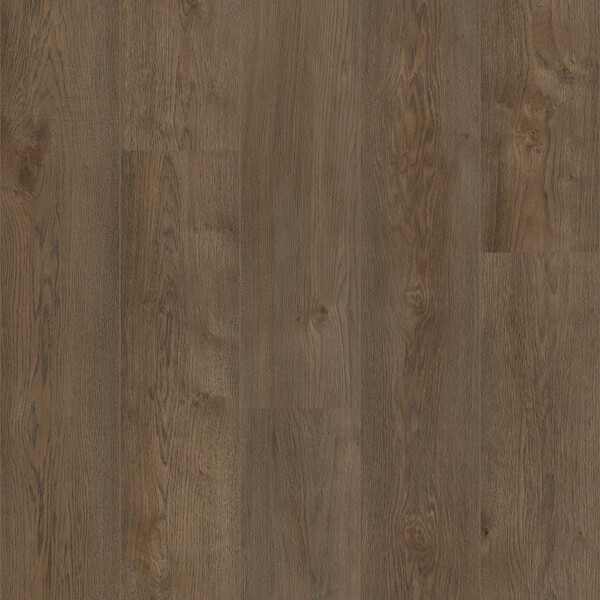 COREtec Naturals rigid, 1800 serie, Elon 50LVRE2887