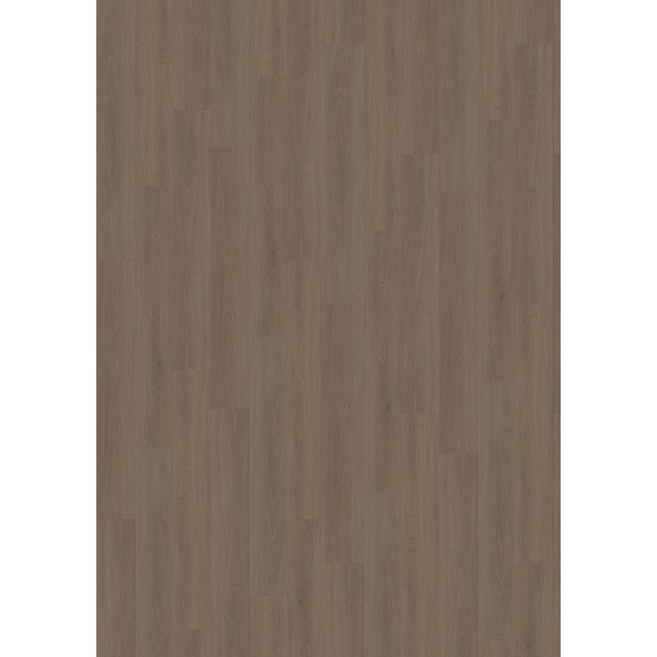 Liberty rigid, Rock 40, Houston