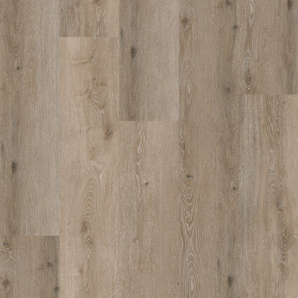 COREtec SurPlus rigid, Noble Oak 55 50RLV3955