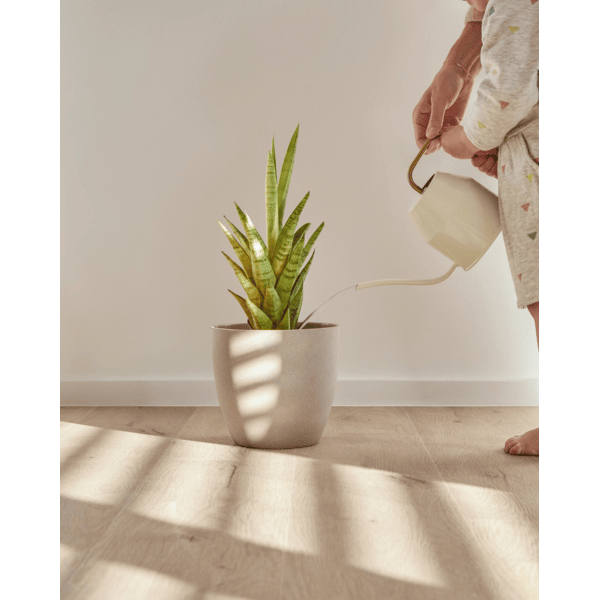 COREtec Naturals rigid, 1200 series, Forest 50LVP806 - Afbeelding 2