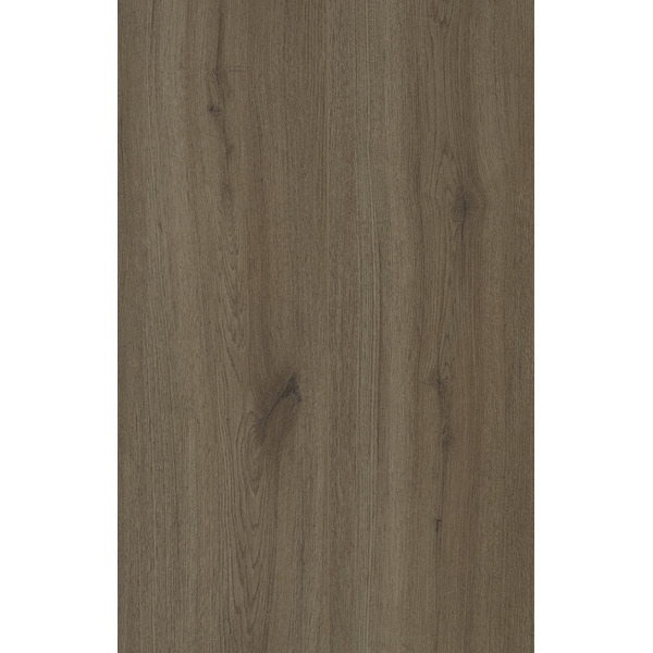 Cleveland Oak 86 (50-LVRE-1486)_TheEssentials