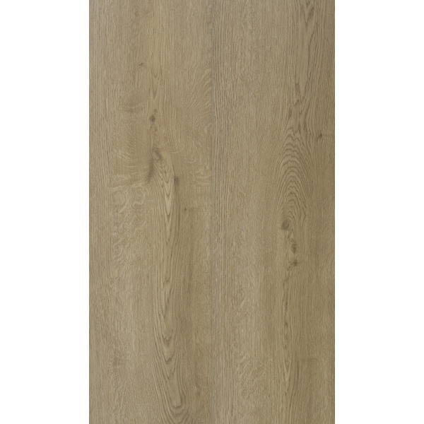 Munster Oak 53 (50-LVRE-2353)