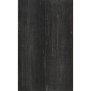 COREtec The Essentials 2.0, Painted Oak 99 50LVPE1399