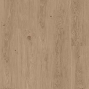 Venetian (50 RLVR 4356)_ProPlus