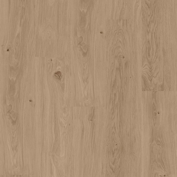 Venetian (50 RLVR 4356)_ProPlus