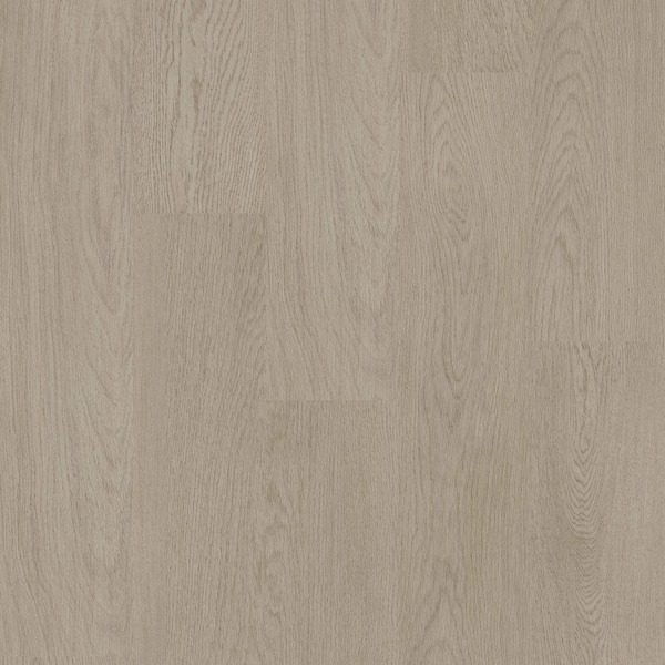 Wynn (50 RLVR 4416)_ProPlus